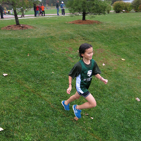 Saint Thomas Cross Country 2013-113