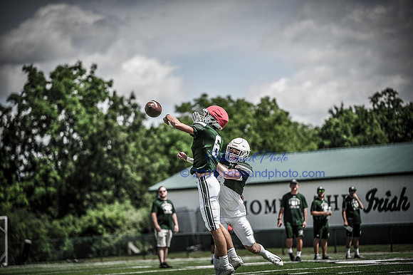 Green and White-155