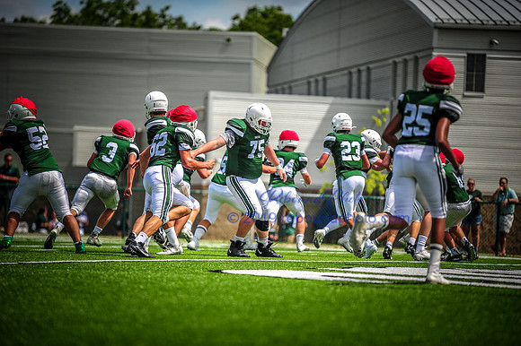 Green and White-179