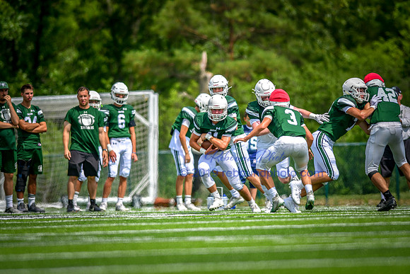 Green and White-223