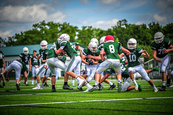 Green and White-187