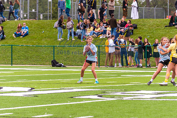 FGR Powder Puff 9-27-18-208