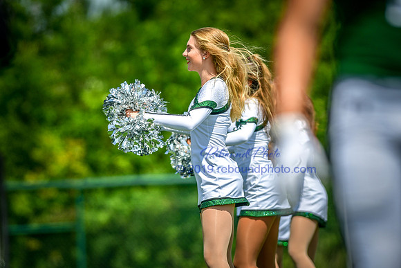 Green and White-208