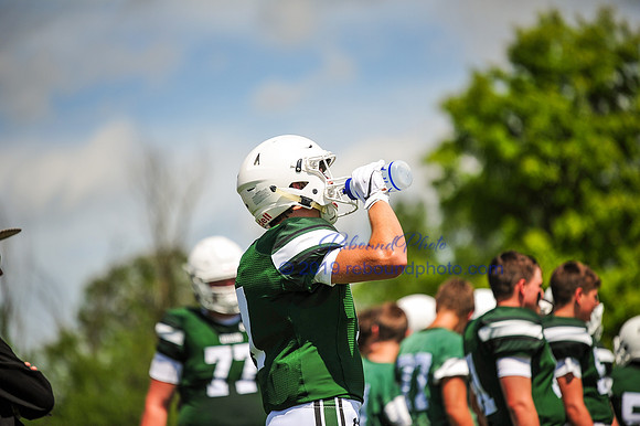Green and White-154