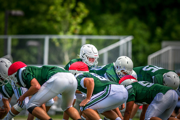 Green and White-227
