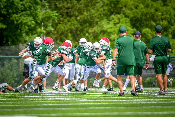 Green and White-235