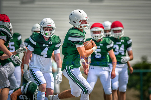 Green and White-230