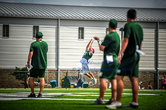 Green and White-188