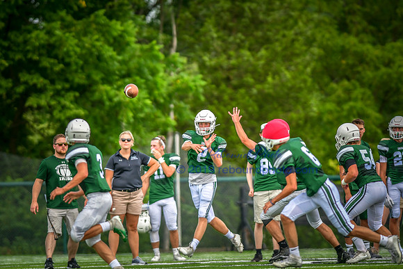 Green and White-237