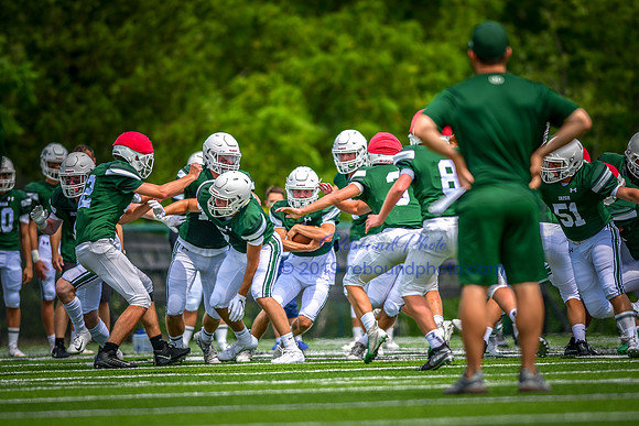 Green and White-224