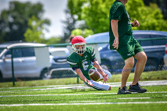 Green and White-211