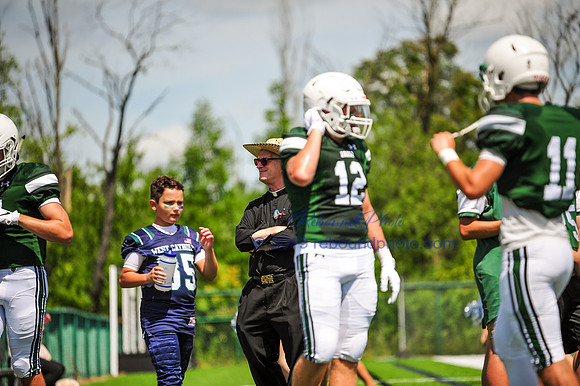 Green and White-152