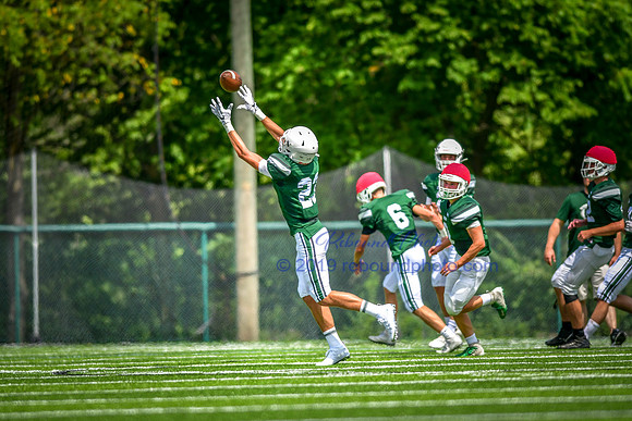 Green and White-232