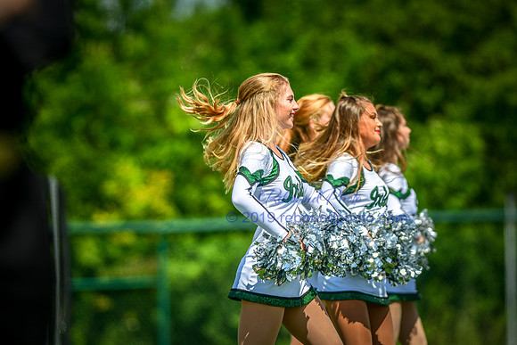 Green and White-209