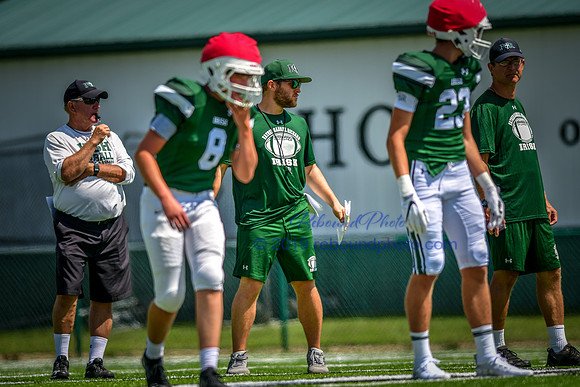 Green and White-206