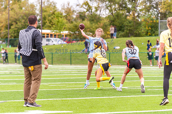 FGR Powder Puff 9-27-18-217