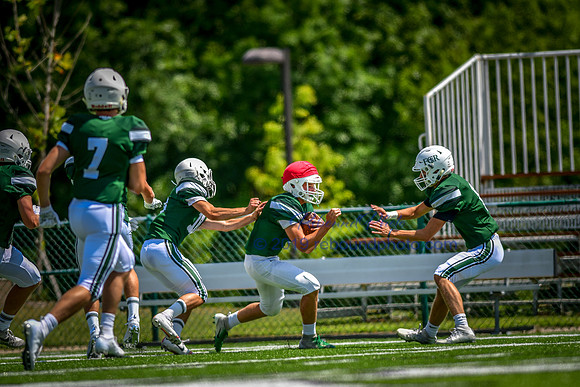 Green and White-203