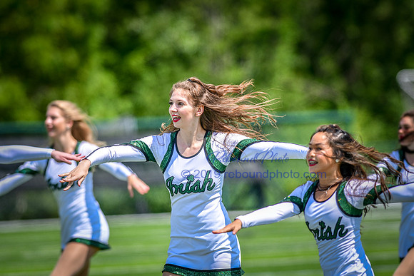 Green and White-220