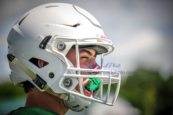 Green and White-164