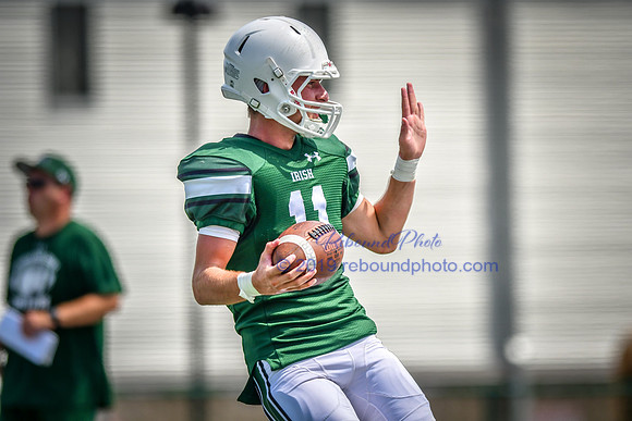 Green and White-231