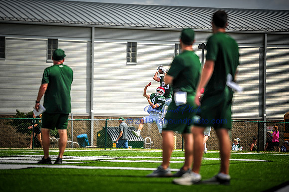 Green and White-189