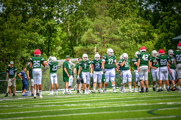 Green and White-225