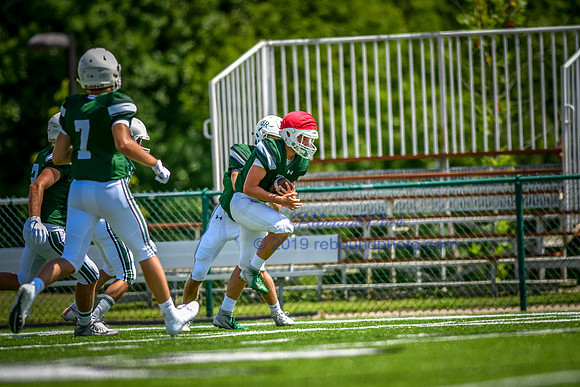 Green and White-204