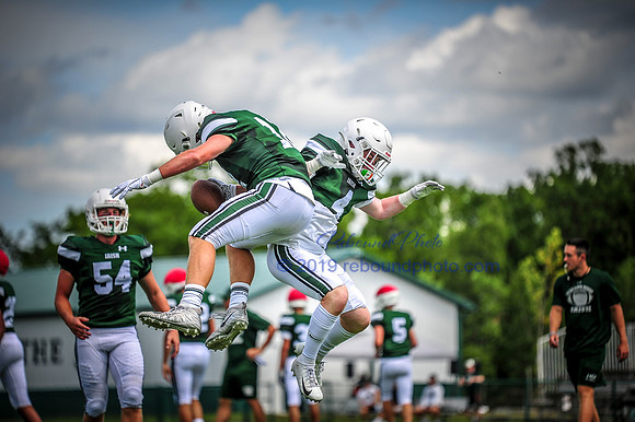 Green and White-176