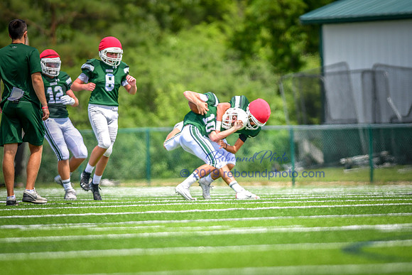 Green and White-236
