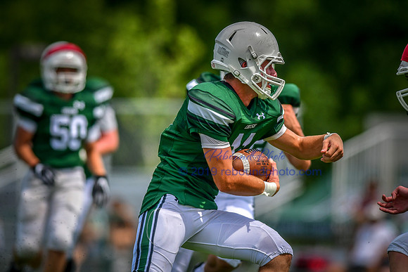 Green and White-229