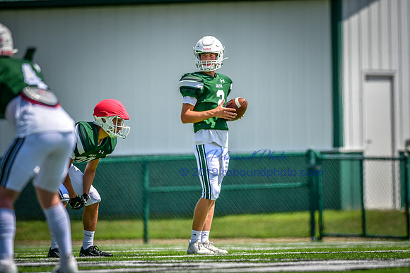 Green and White-207