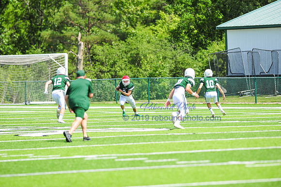 Green and White-150